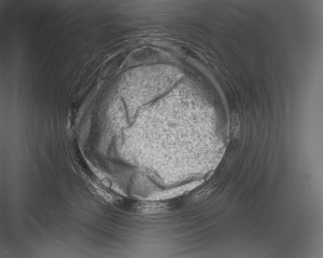 X0000082960670200702222341