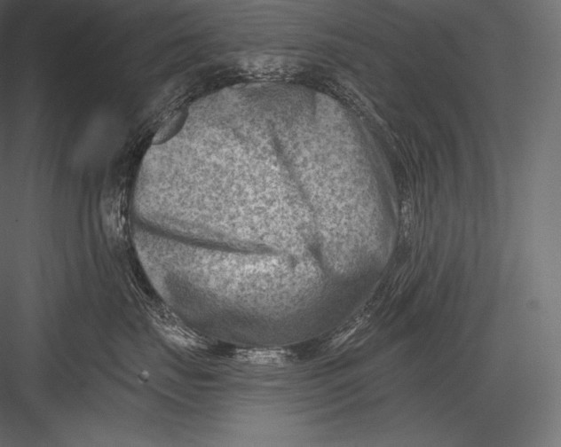 X0000082960671200702222341