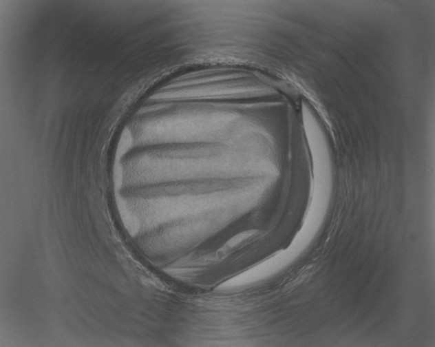 X0000082960673200702222341