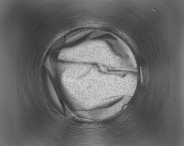 X0000082960675200702222340