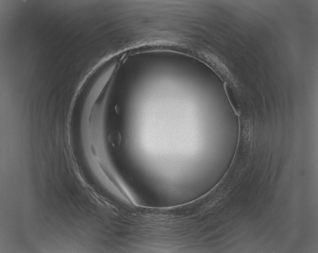 X0000082960676200702222340