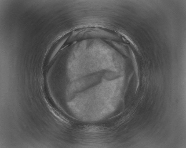 X0000082960677200702222340