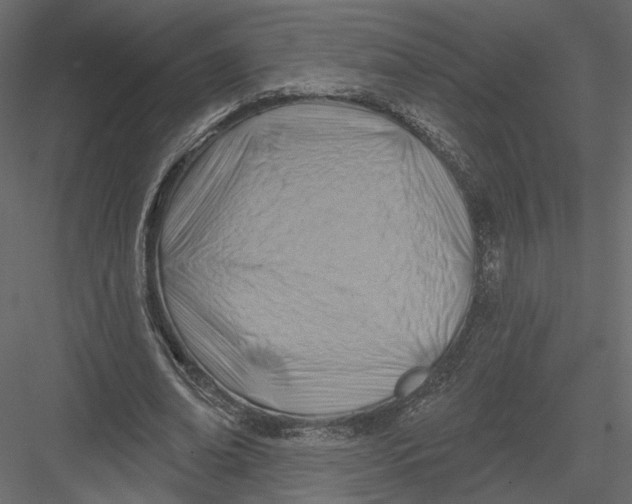 X0000082960678200702222340