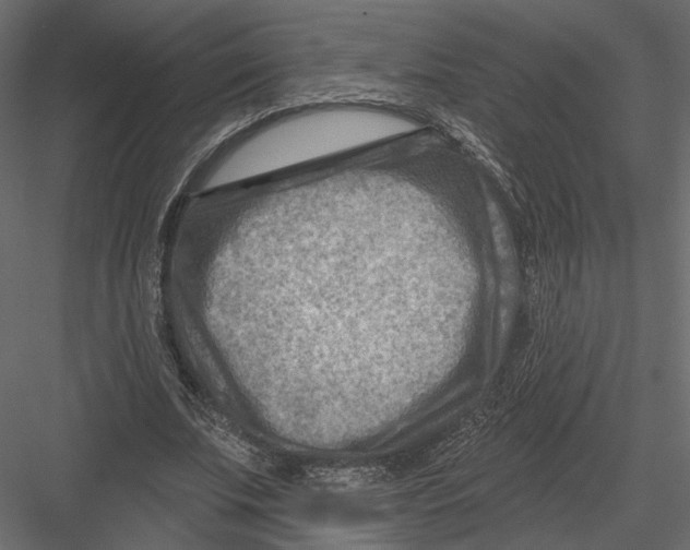 X0000082960679200702222340