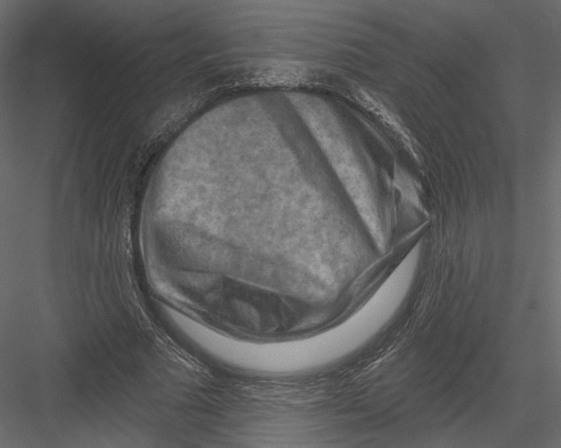 X0000082960681200702222340