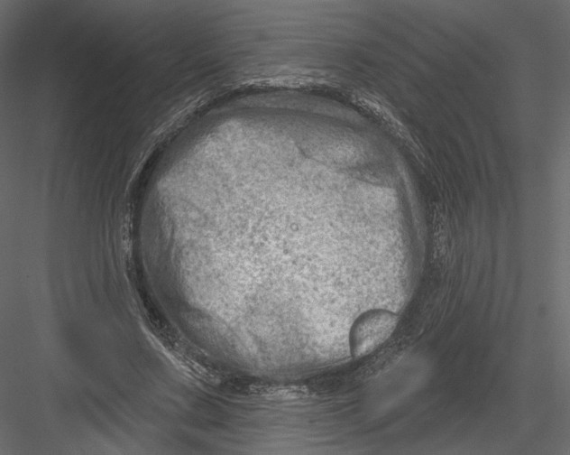 X0000082960683200702222340