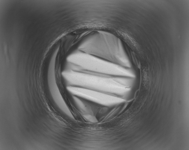 X0000082960684200702222340