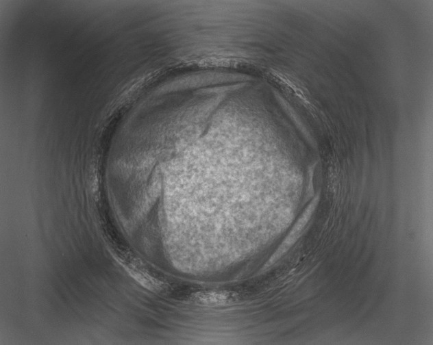 X0000082960687200702222340