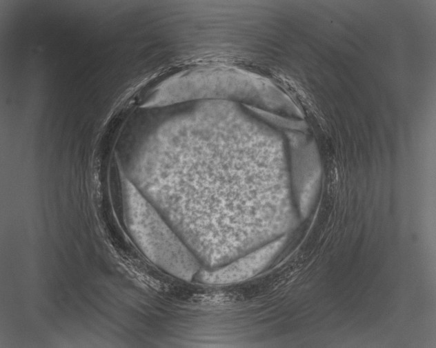 X0000082960688200702222340