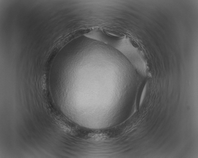 X0000082960689200702222340