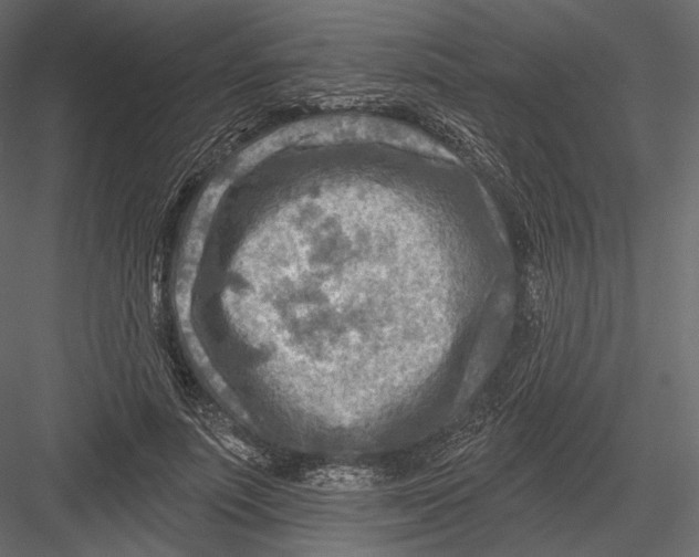 X0000082960691200702222340