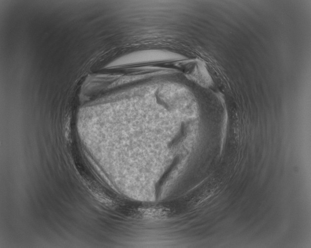 X0000082960693200702222340