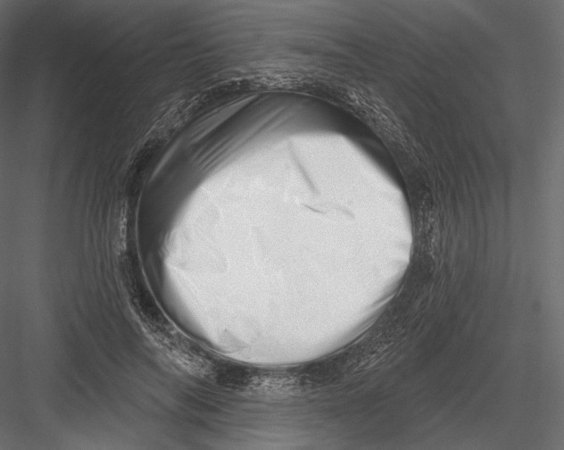 X0000082960694200702222340