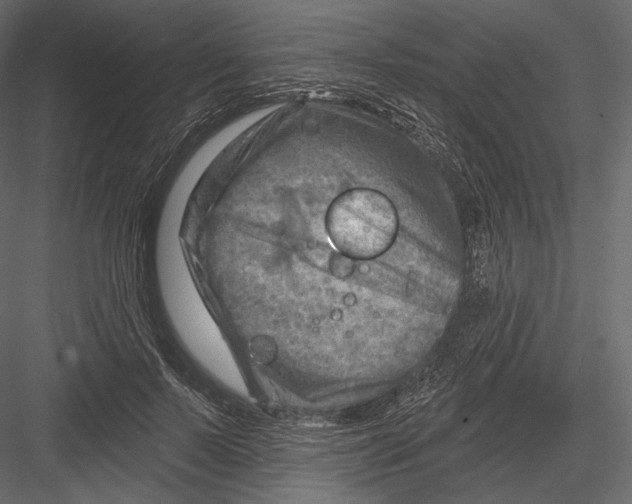 X0000082960695200702222340