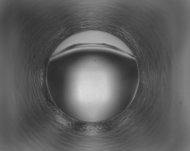 X0000082960697200702222340