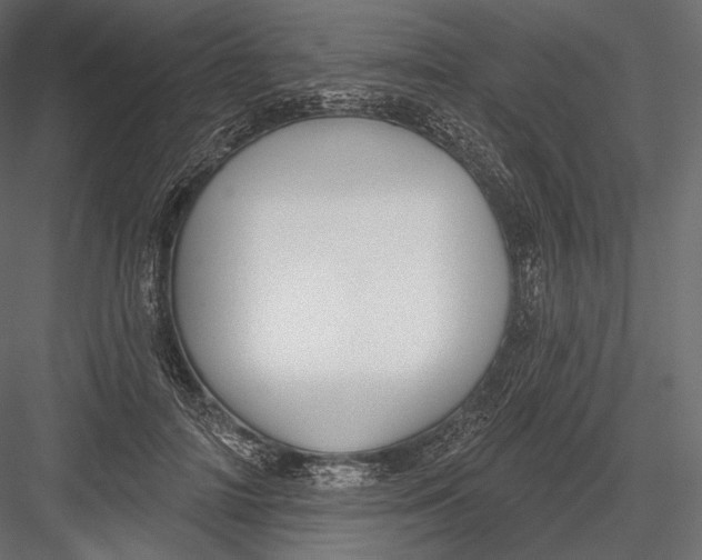 X0000082960698200702222340