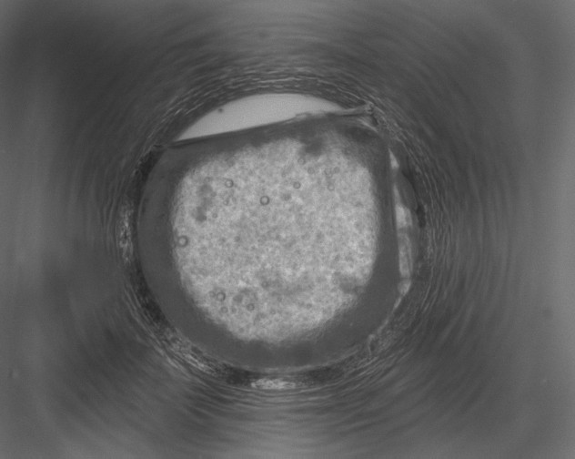 X0000082960699200702222340