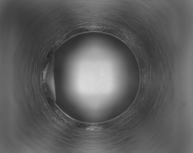 X0000082960700200702222340