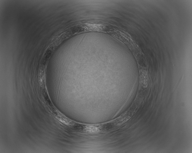 X0000082960701200702222340