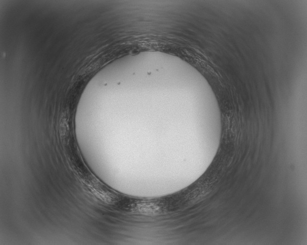 X0000082960702200702222340