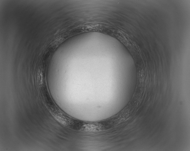 X0000082960703200702222340