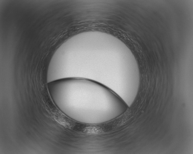 X0000082960704200702222340