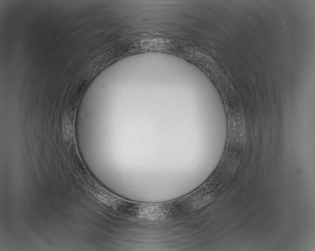 X0000082960705200702222340