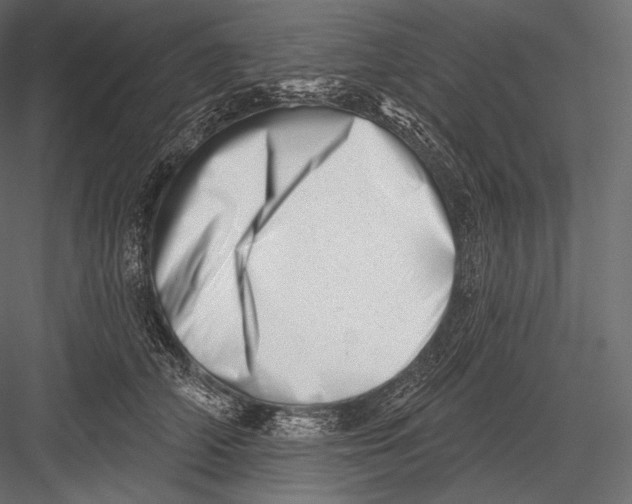 X0000082960706200702222340