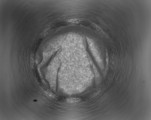 X0000082960707200702222340