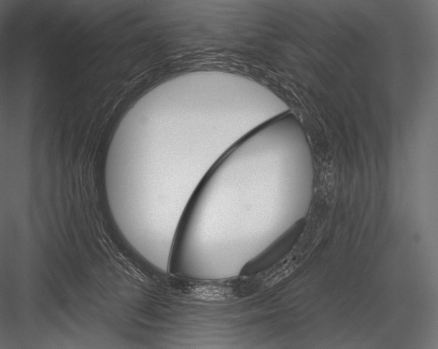 X0000082960708200702222340