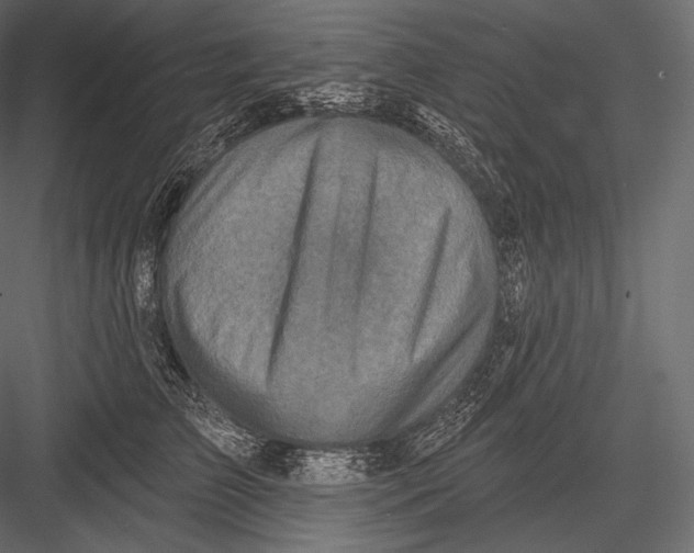 X0000082960709200702222340