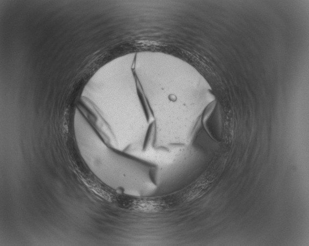 X0000082960710200702222340