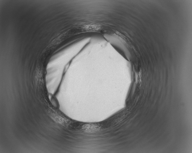 X0000082960714200702222340