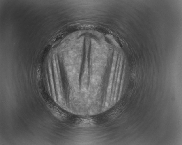 X0000082960715200702222340