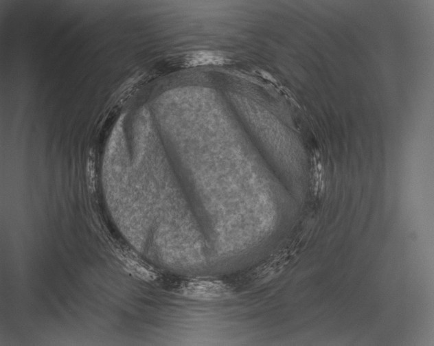 X0000082960716200702222340