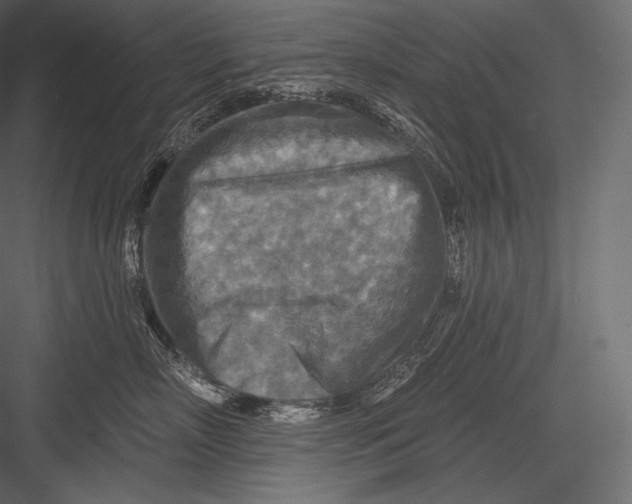 X0000082960718200702222340