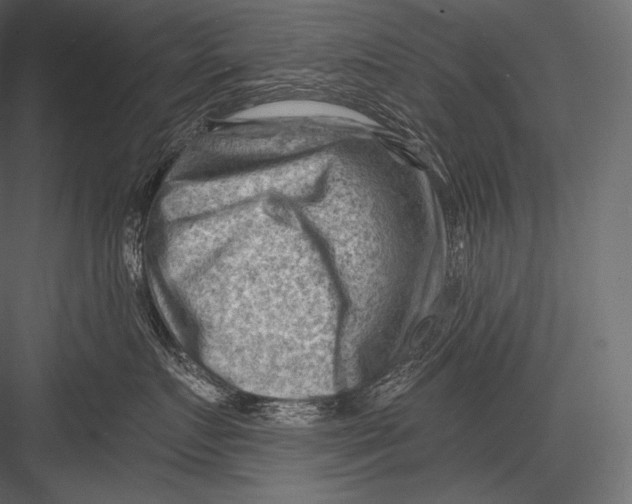 X0000082960719200702222340