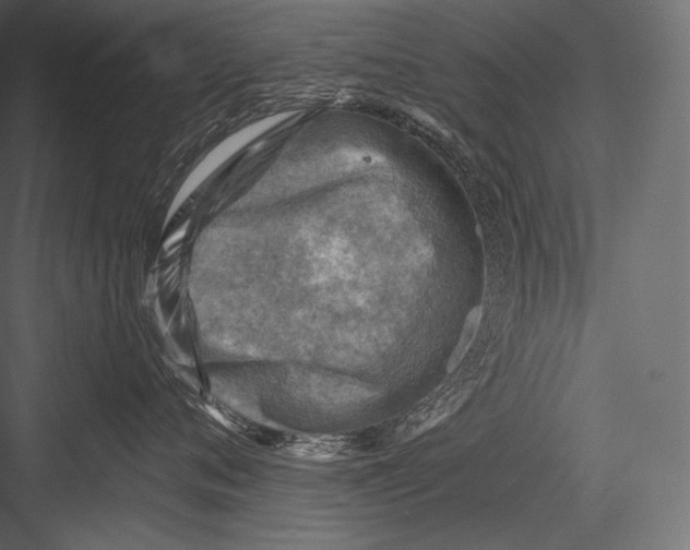 X0000082960720200702222340