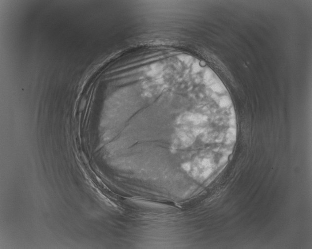 X0000082960721200702222339