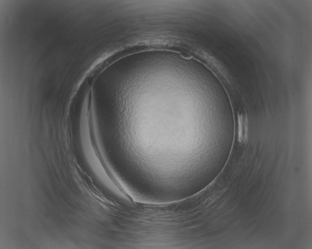 X0000082960723200702222339