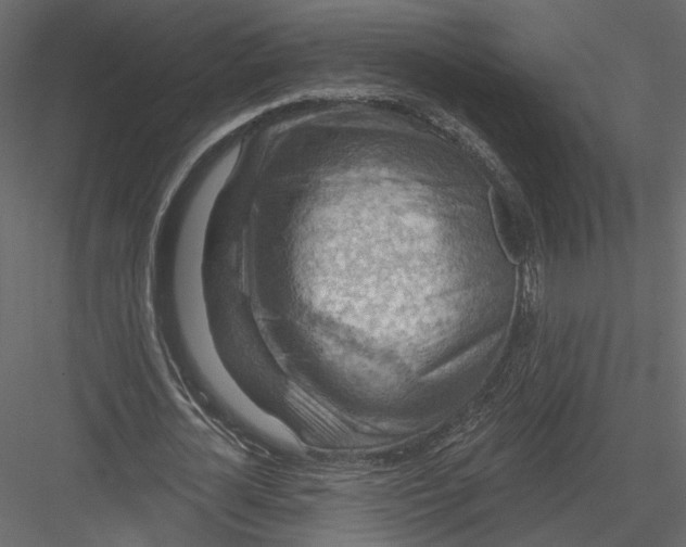 X0000082960724200702222339