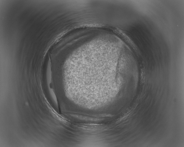 X0000082960725200702222339