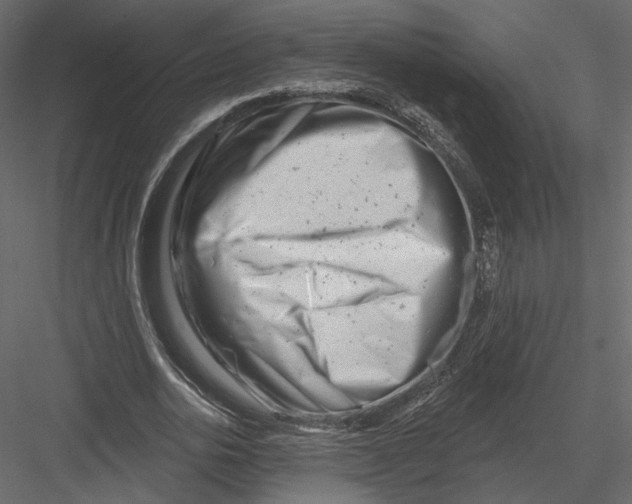 X0000082960726200702222339