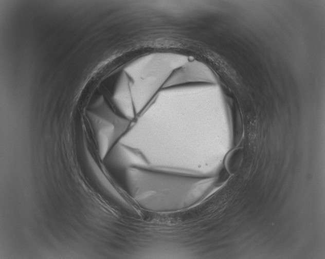 X0000082960727200702222339