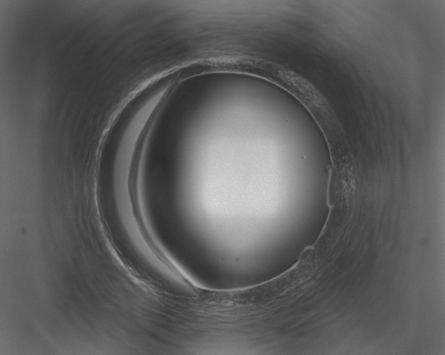 X0000082960728200702222339