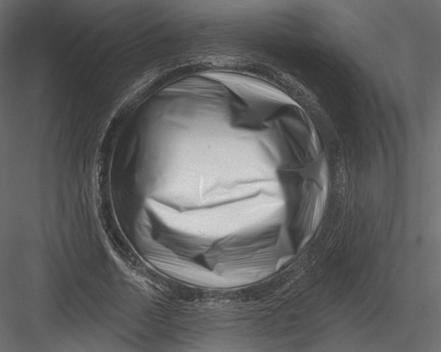 X0000082960730200702222339