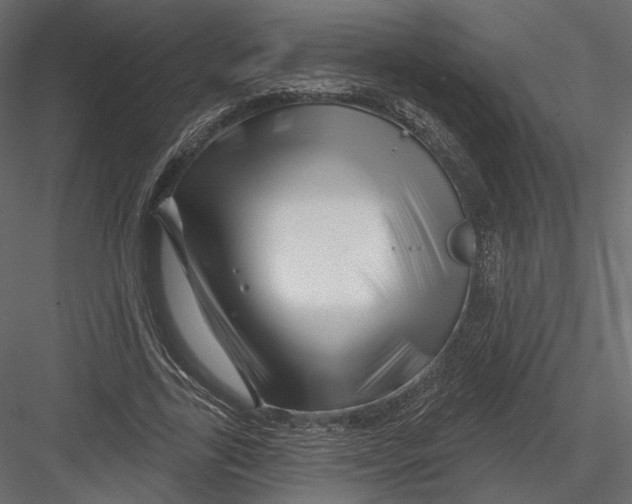 X0000082960731200702222339