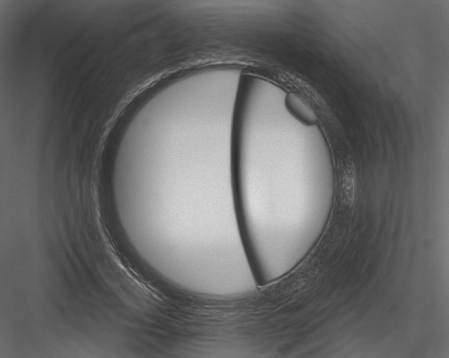 X0000082960732200702222339