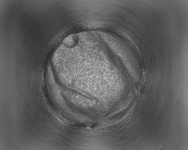 X0000082960733200702222339