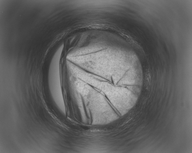 X0000082960734200702222339